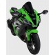 BULLE ZX10R